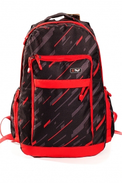 СКАТ 4